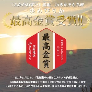 【令和6年産先行受付】北海道深川産ゆめぴりか5kg(普通精米)【1296656】