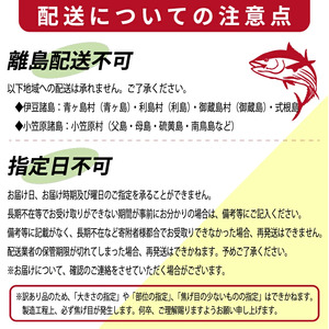 かつおのたたき わら焼き 600g 訳あり かつお