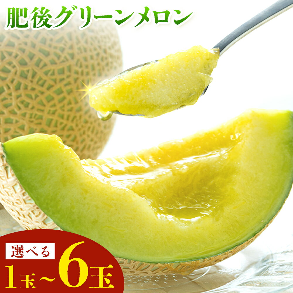 【ふるさと納税】肥後グリーンメロン 選べる内容量 1玉 約1.5kg 2玉 約3.5kg 4～6玉 約7kg 日本フルーツ株式会社《5月上旬-7月下旬頃出荷》熊本県 菊池市 メロン 熊本県産