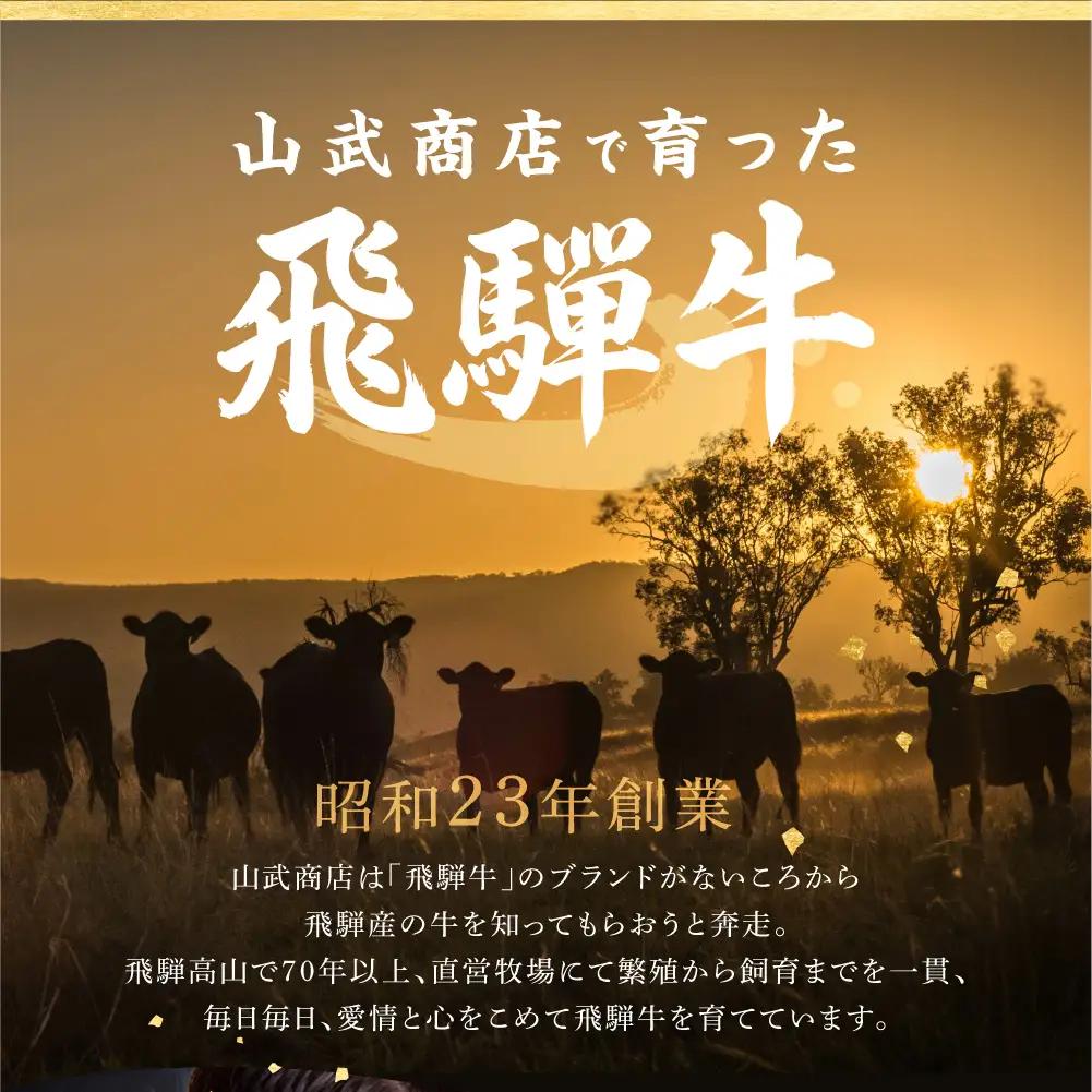 飛騨牛 もも すき焼き用 600ｇ 薄切り肉 しゃぶしゃぶ 飛騨牛 山武商店 LZ009