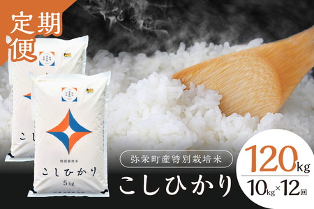 【定期便】【令和7年産】弥栄町産特別栽培米「秘境奥島根弥栄」こしひかり10kg（12回コース） 米 お米 こしひかり 特別栽培米 精米 白米 ごはん 定期 定期便 12回 お取り寄せ 特産 新生活【090_1880】