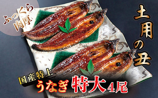 
国産！特上うなぎのかば焼き 約250g × 4尾
