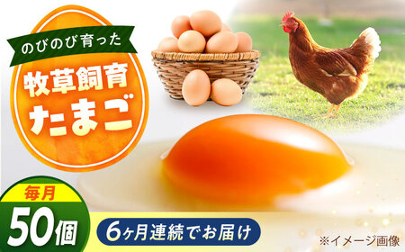 【全6回定期便】天心山 たまご 50個（10個入り×5パック）[BABW035] たまご