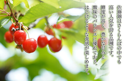 【令和6年産先行予約】こだわりのさくらんぼ 「佐藤錦」 バラ詰め 500g いまいのさくらんぼ園 A06-601