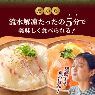 ふるさと納税 延岡市 延岡産活〆マダイと生サーモンの海鮮丼/2種食べ比べセット(8パック入り) |  | 02
