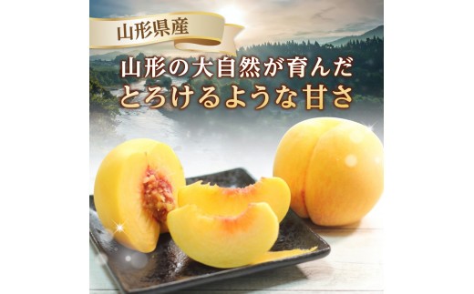 《先行受付》★黄桃（品種おまかせ）★ 約2kg(5～8玉) 秀品 【2026年8月中旬頃～発送予定】