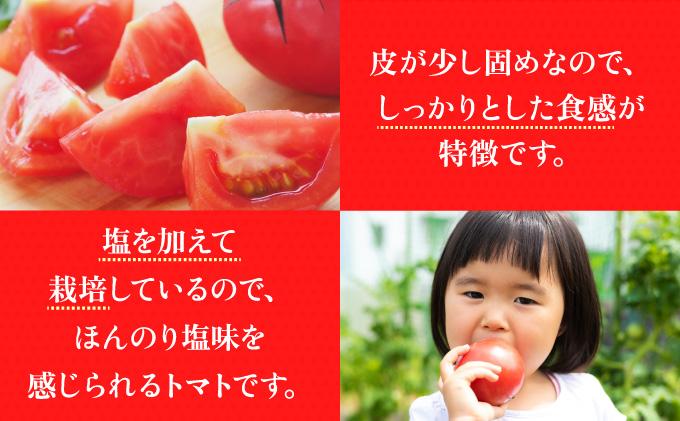 【2027年 発送】先行予約 北海道 伊達市 高糖度 トマト 北赤妃 きせき 約1kg  4箱 Mサイズ 計4kg｜とまと 新鮮 ジューシー 産地直送【55250902】 約1kg 4箱 Mサイズ 計