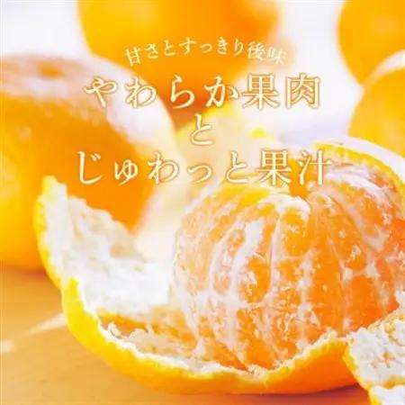 温州みかん先行予約!和歌山県産ミカン約5kg(40個～60個入)秀品　味に自信あり!こだわり農家厳選【1707202】
