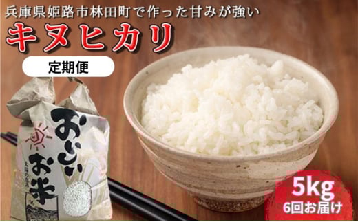 [№5258-1321][令和7年産新米]<10月初旬以降発送予定>定期便6回お届けきぬひかり5キロ 兵庫県姫路市産 新米 白米 米 お米