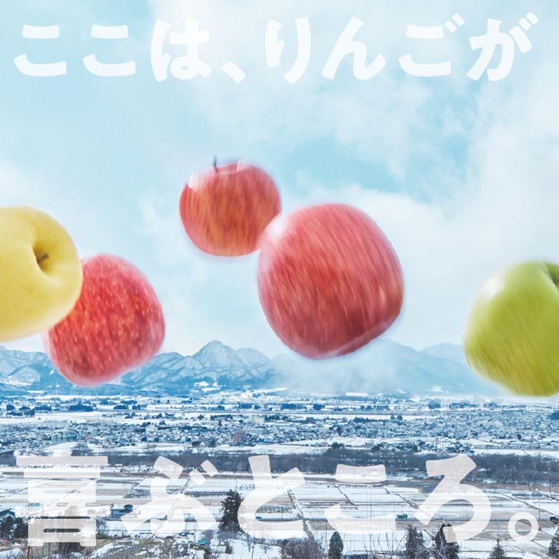 10月発送開始　りんご工房きただ　旬の盛岡りんご「定期便」約5kgりんご