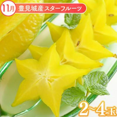 ふるさと納税 豊見城市 【発送月固定定期便】【2026年発送】沖縄フルーツ定期便(9・10・11月コース)全3回 |  | 03