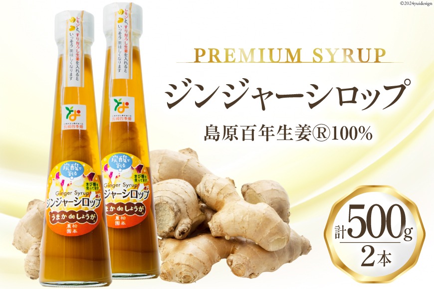 BI201 ジンジャー シロップ 250g 2本 計500g [ 生姜 しょうが ショウガ ジンジャーエール ジンジャーハイボール 松本農園 人作 長崎県 島原市 ]
