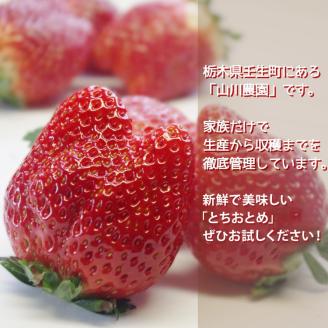【先行予約】とちおとめ320g×4パック 約1.2kg グランデサイズ いちご 苺 イチゴ フルーツ 果物 国産 新鮮 ※2025年1月中旬頃より順次発送予定