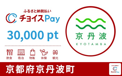 
            京丹波町チョイスPay 30,000pt【会員限定のお礼の品】
          