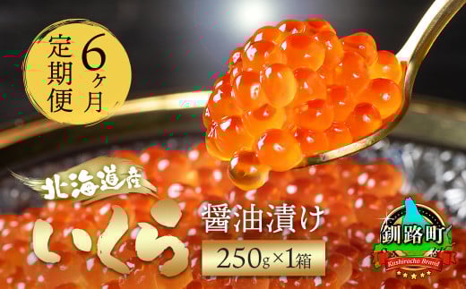 【定期便 6ヶ月連続】北海道産 いくら醤油漬け 250g ×1箱 小分け | 国産 いくら いくら醤油漬 しょう油 しょうゆ HACCP イクラ ikura 小分け 天然 鮭 鮭卵 鮭いくら 魚卵 冷凍定期便  魚介類 海鮮 絶品 人気 笹谷商店 直営 釧之助本店 北海道 釧路町 釧路超 特産品