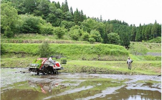 令和７年産 南小国町産のお米あきげしき １０kg 南小国産 精米 玄米 米 白米 お米 ご飯 産地直送 SMO南小国 熊本 阿蘇 南小国町 送料無料