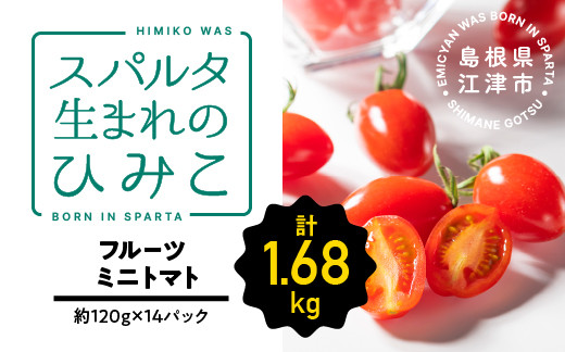 
【先行予約】【2024年11月発送】 スパルタ生まれのひみこ ミニトマト 約120g×14パック（約1.68kg）【配送不可：離島】【GC-20】｜送料無料 ひみこ ミニトマト フルーツトマト やさい 野菜 とまと トマト サラダ 甘味 新鮮 お弁当 贈物 ギフト プレゼント 産地直送 産地厳選 江津市｜
