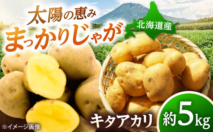 
                  【2026年10月中旬以降順次発送】 じゃがいも キタアカリ（まっかりじゃが）5kg | じゃがいも ジャガイモ キタアカリ きたあかり 秋 2026年 じゃが芋 芋 野菜 北海道 産地直送 先行予約 | 道の駅 真狩フラワーセンター [BPAM015]
                