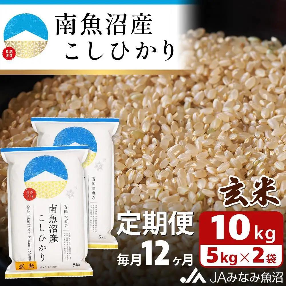 【JAみなみ魚沼定期便】南魚沼産こしひかり玄米（10kg×全12回）｜玄米