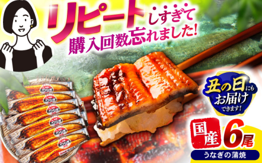 【最速発送】＜諫早淡水＞うなぎ蒲焼6尾 / うなぎ ウナギ 鰻 蒲焼き 蒲焼 国産 冷凍 小分け うな重 うな丼 ひつまぶし / 諫早市 / 活うなぎ問屋 諫早淡水 [AHAT008]  最速 最短 