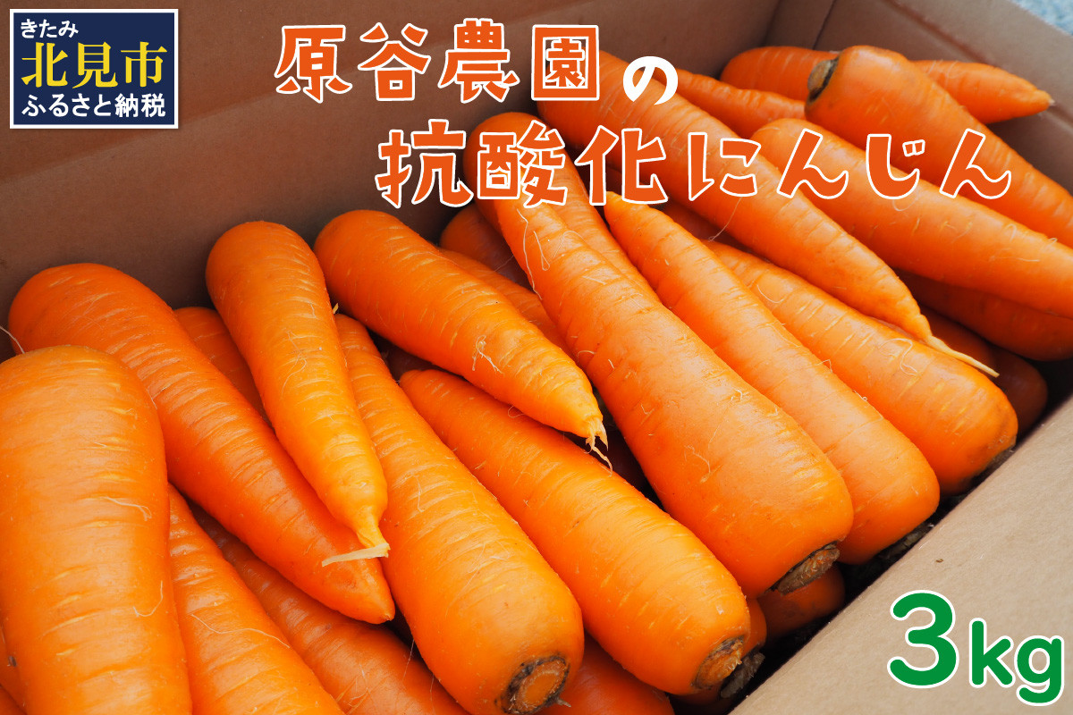 
                  【予約：2025年8月下旬から順次発送】原谷農園の抗酸化にんじん 3kg ( 野菜 人参 農園 期間限定 ふるさと納税 )【058-0006-2025】
                