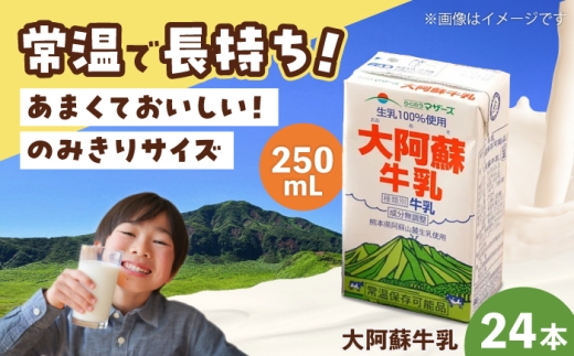 大阿蘇 牛乳 250ml(24本入り) / 牛乳 大阿蘇牛乳 熊本 熊本牛乳 ぎゅうにゅう 牛乳 無調整 自然 らくのう 牛乳パック パック牛乳 成分無調整牛乳 ミルク みるく カルシウム 乳製品 生