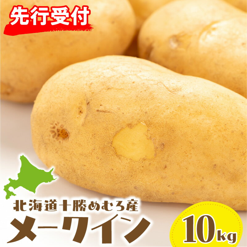【ふるさと納税】【 先行予約 】十勝めむろ産 メークイン 10kg |【 2026年10月1日頃から発送 】 じゃがいも 馬鈴薯 野菜 ジャガイモ 芋 イモ ポテト 産地直送 国産 北海道産 肉じゃが カレー シチュー 冷蔵 北海道 十勝 芽室町