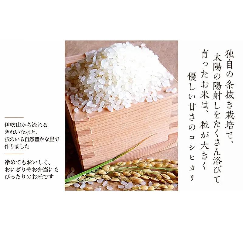 【令和8年産新米】蛍の里のコシヒカリ　10kg