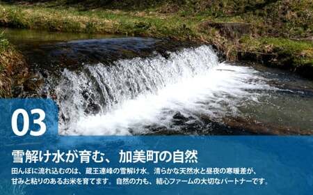 【無洗米】【5kg】 定期便 5回 米 宮城県産 ひとめぼれ  令和7年 新米 ブランド米 白米 精米 ご飯 ごはん コメ こめ お米 小分け 家庭用 結心ファーム [ 宮城県 加美町 ]
