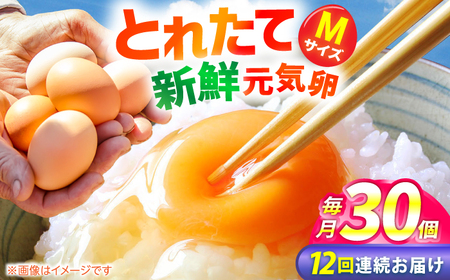 【12回定期便】お茶と海藻で健康育ち 元気卵 360個（30個×12回） / 卵 たまご 卵 タマゴ 卵 玉子 鶏卵 / 亀山市 / 藪本養鶏園 [AMBH004]