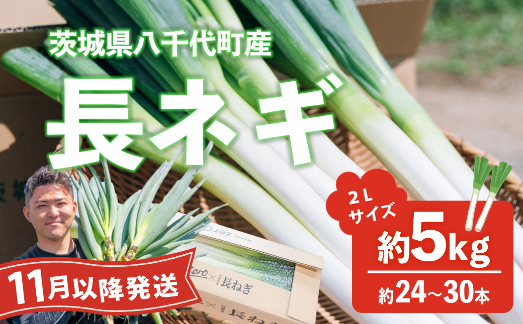 【先行受付 2026年11月以降発送開始】長ネギ 約5kg 2L 約24本～30本 茨城県産 八千代町産 野菜 農家直送 化成肥料不使用 有機肥料100% ねぎ 長ねぎ ネギ 旨味 認定農業者 8500円 [DJ002ya]