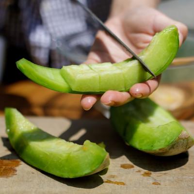 ふるさと納税 むかわ町 【2026年発送】ともりん(カンロ)4kg(4〜5玉)【JAとまこまい広域取扱　むかわ町穂別特産品】 |  | 01