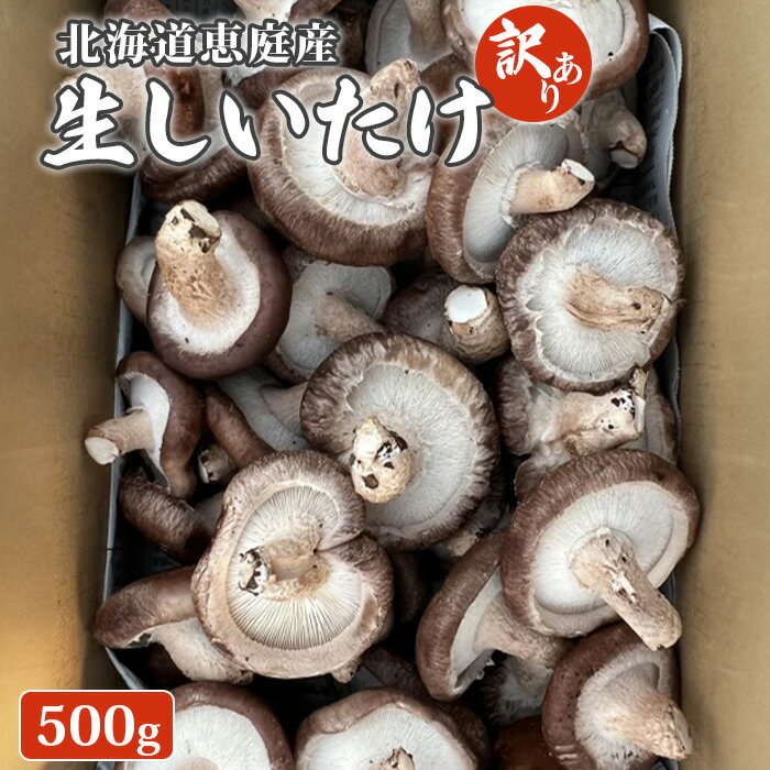 【ふるさと納税】北海道恵庭産 生しいたけ 500g 20個前後 数量限定 訳あり品 訳あり オンライン 申請 ふるさと納税 北海道 恵庭 生椎茸 しいたけ 椎茸 菌床 きのこ 栄養満点 肉厚 濃厚 採れたて 野菜 鮮度抜群 恵庭【800007】