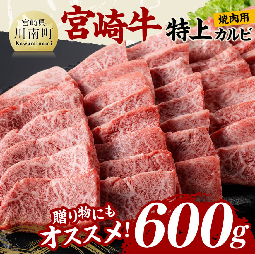 宮崎牛 特上カルビ 焼肉用 （三角バラ） 合計600g 肉 牛肉 黒毛和牛[D11420]