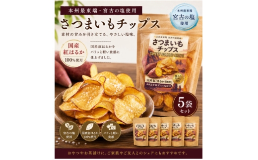本州最東端の塩使用 さつまいもチップス 5袋セット (計300g)【1742038】