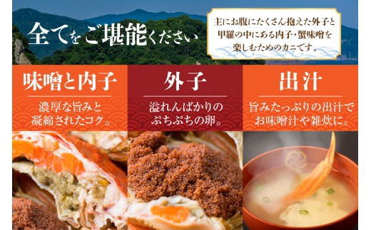 訳あり セコガニボイル（冷凍）7匹 【令和9年2月お届け予定】 カニ かに 蟹 松葉がに せこがに せいこがに メスガニ 外子 内子 卵 カニ味噌 濃厚 急速冷凍 浜茹 数量限定 産地直送 鮮度抜群 