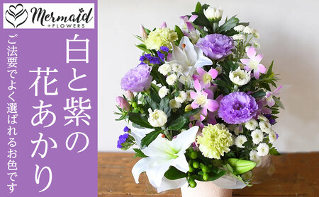 フラワーアレンジメント 花あかり　白ムラサキ【 花 花束 フラワーアレンジメント 花 フラワー 花 フラワーギフト 花束 法事 花 命日 花 】