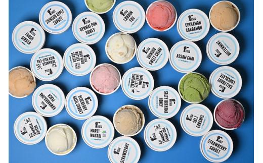 MDI 信州クラフトアイスクリーム１２個セット