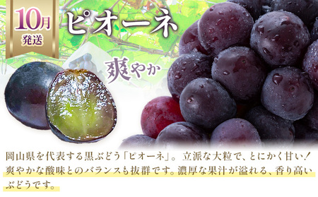 【3か月定期】岡山のぶどう 3種食べ比べ 計2.1kg【配送不可地域あり】ﾏｽｶｯﾄ ﾋﾟｵｰﾈ