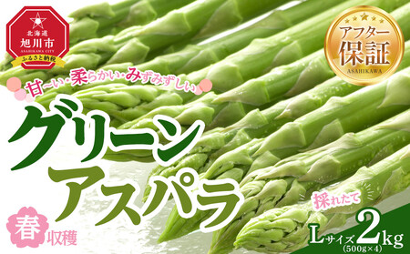 【先行予約】春収穫グリーンアスパラLサイズ（500g×4）約2.0kg（2026年6月上旬から発送開始）| アスパラ 北海道_05531