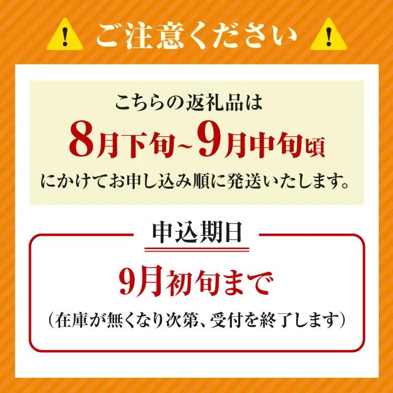 【先行予約】2026年度産 梨 二十世紀梨 ご自宅用 優品（Bランク）5kg L～5Lサイズ混合 【令和8年8月下旬以降発送予定】 20世紀梨 フルーツ 果物  12-20