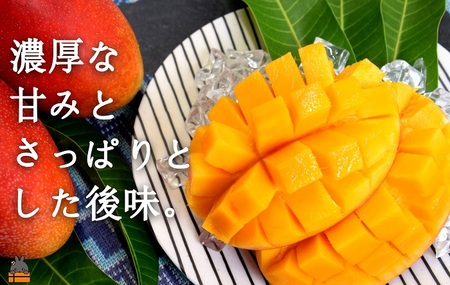 ≪先行予約≫てぃだ（太陽）を浴びて育った徳之島産完熟マンゴー（1kg）( マンゴー フルーツ 果物 完熟 無加温 徳之島 世界自然遺産 美味しい とろける 旬 贅沢 糖度 南の島 )