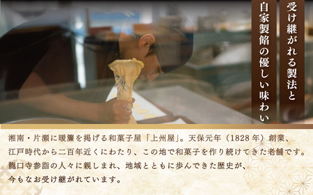 【もなか】 8個入 富士山と江ノ島もなか 和菓子