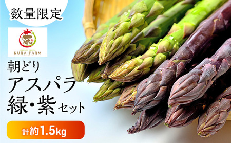 アスパラ 食べ比べセット 富良野産 緑・紫 サイズ混合【計約1.5kg】【先行予約】