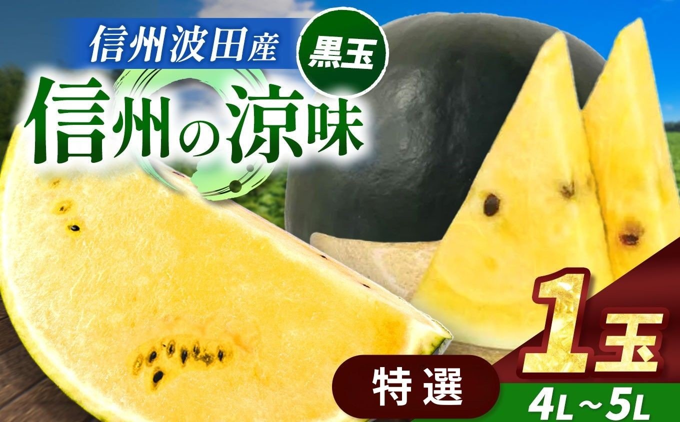 
            【先行受付：2026年7月発送】信州波田産 高級 黒玉スイカ！信州の涼味 【特選】 4L～5Lサイズ 1玉｜ふるさと納税 長野県 信州 松本 果物 フルーツ すいか スイカ 西瓜 贈答 季節限定 甘い くだもの ふるーつ
          