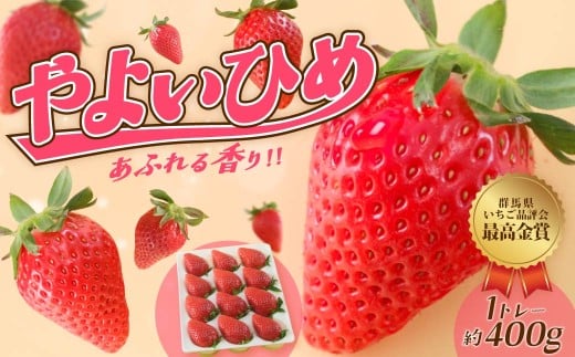 いちご やよいひめ 約400g 群馬県いちご品評会最高金賞受賞 | 感動体験 非日常 朝採れ やみつき高品質 たっぷり 贈答用 新鮮 完熟 いちご 旬 苺 ストロベリー 高級 産地直送 果汁 甘い あまい 人気 高評価 贈答いちご 高糖度 ごほうび プレゼント 桑原いちご園 群馬県 前橋市