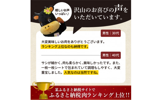 伊万里牛 A5 モモスライス すき焼き 焼肉用 800g J247_イメージ3