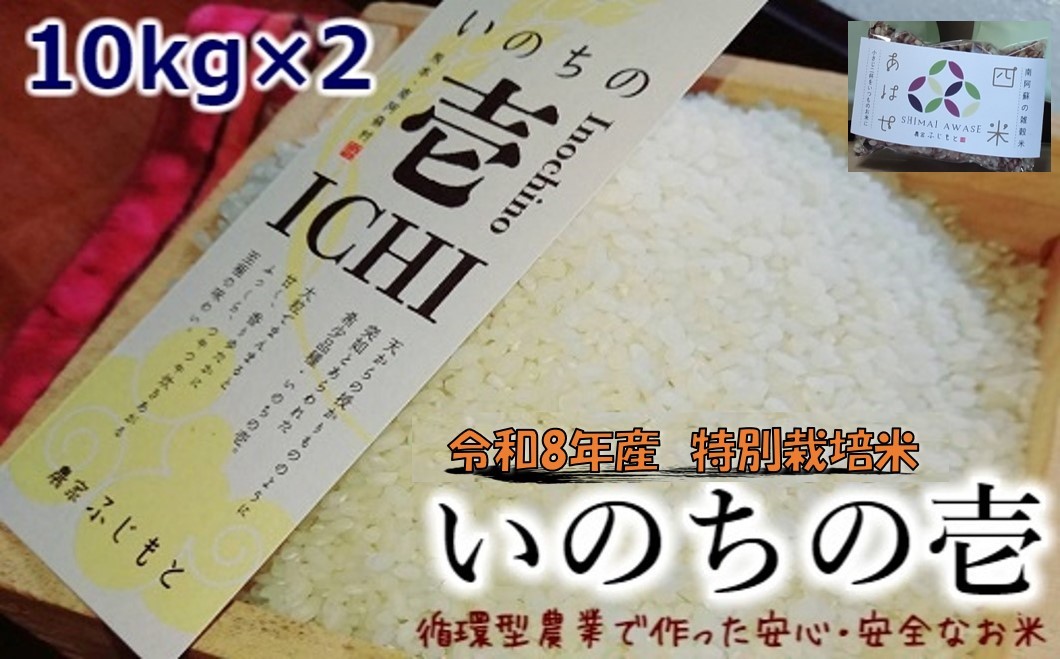 
                  【数量限定！農家から直接お届け】令和8年産特別栽培米 いのちの壱(白米)10kg×2
                