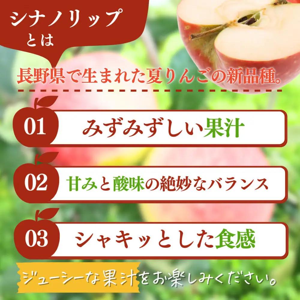 フルーツファーム中村農園　【8月中旬発送 先行予約】樹上熟成　シナノリップ 3kg | りんご 樹上完熟 シナノリップ 夏りんご
