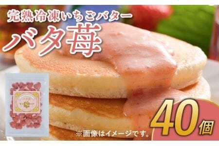 いちご いちごバター 40個 完熟 冷凍 いちごバター 「バタ苺」 1袋（12g×40個） 合計480g  園村苺園 熊本県産いちご 宇城市産いちご 九州産いちご 